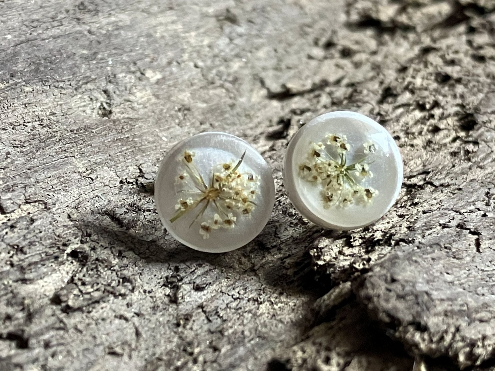 White resin stud earrings encasing real Queen Anne’s Lace flowers handmade by R&D Floral.